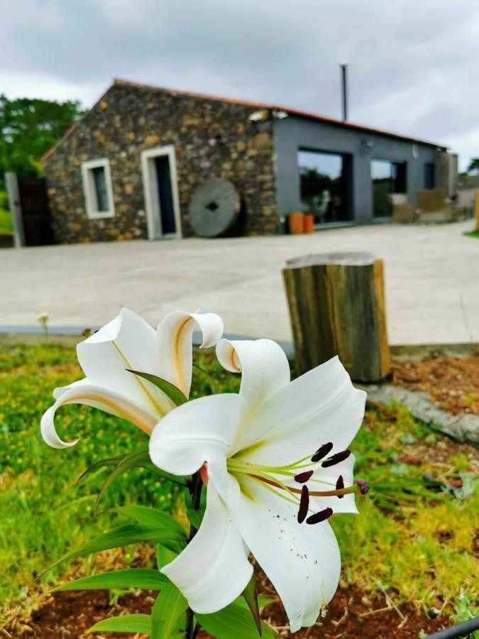 Sao Pedro  Quinta De Sao Joseヴィラ エクステリア 写真