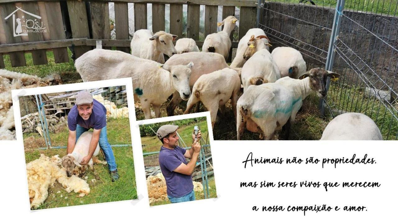 Sao Pedro  Quinta De Sao Joseヴィラ エクステリア 写真