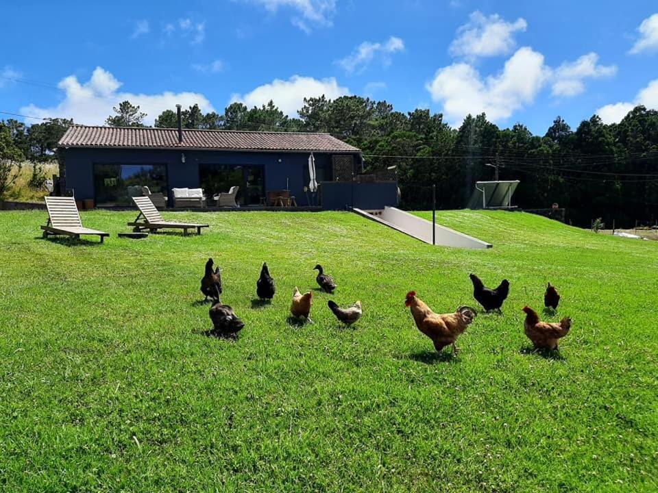 Sao Pedro  Quinta De Sao Joseヴィラ エクステリア 写真