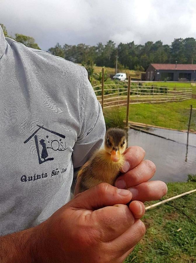 Sao Pedro  Quinta De Sao Joseヴィラ エクステリア 写真